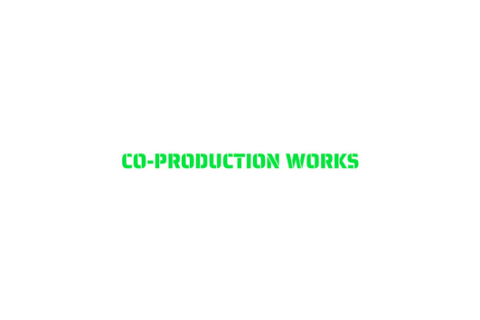 Co-Production-Works Partnership in Action