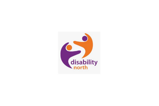 Disability-North Partnership in Action