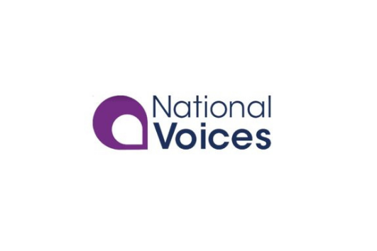 National-Voices Partnership in Action