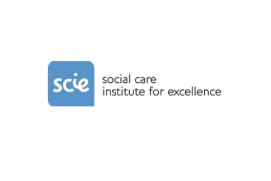 SCIE Partnership in Action